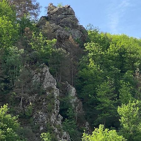 Duplex Roca Del Sucut Apartman Ribes de Freser Kültér fotó
