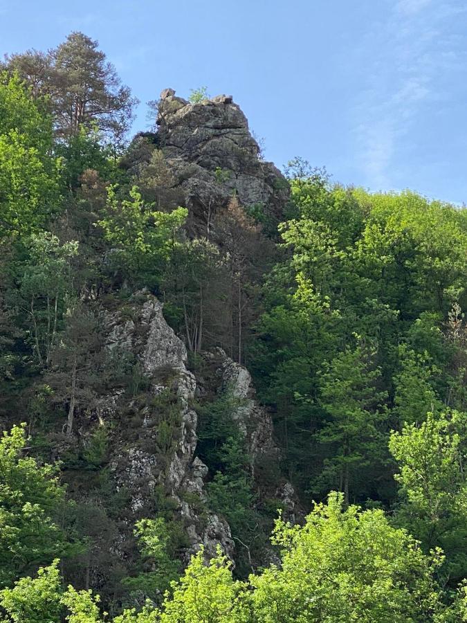 Duplex Roca Del Sucut Apartman Ribes de Freser Kültér fotó